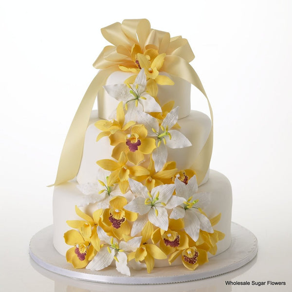 Afternoon Art Cake Kit