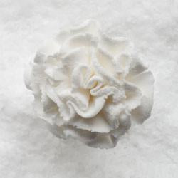 1" Carnation - Small/Bud - White (66 per box)
