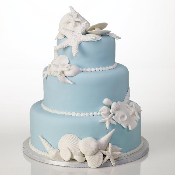 Assorted 41 Piece Shell Cake Kit